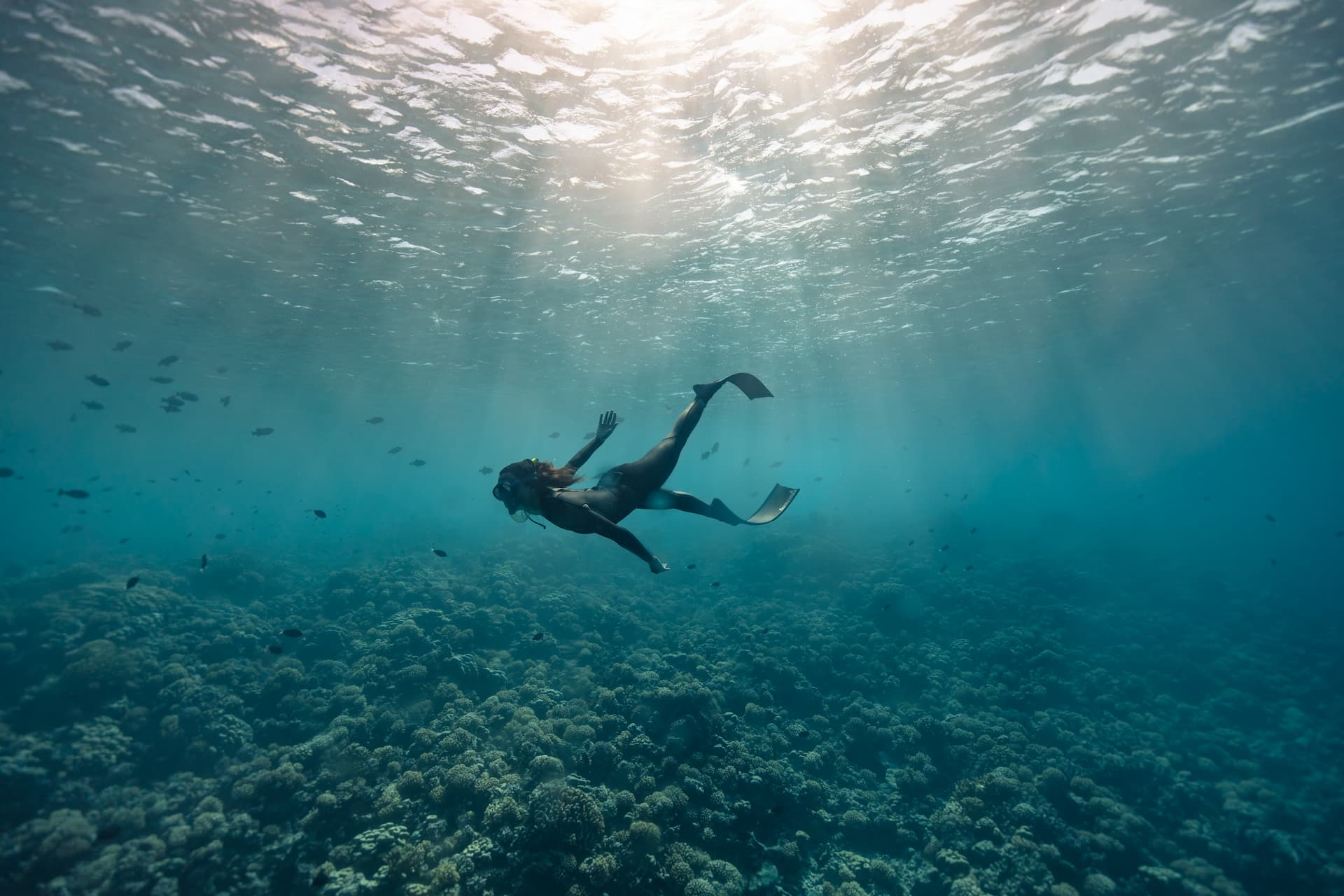 Plongeuse en apnée avec masque et palmes, nageant dans le lagon de Fakarava. Jardin de corails dans le fond et poissons tropicaux autour de la nageuse. Plongée en Apnée et Respect de l'Environnement Marin en Polynésie.