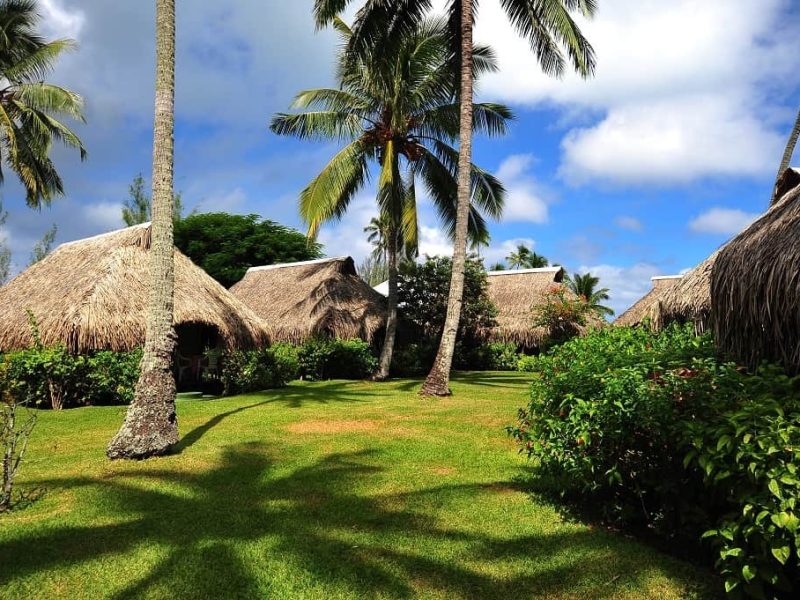 Vue extérieur bungalows jardin avec palmiers - Hôtel Hibiscus 2* à Moorea