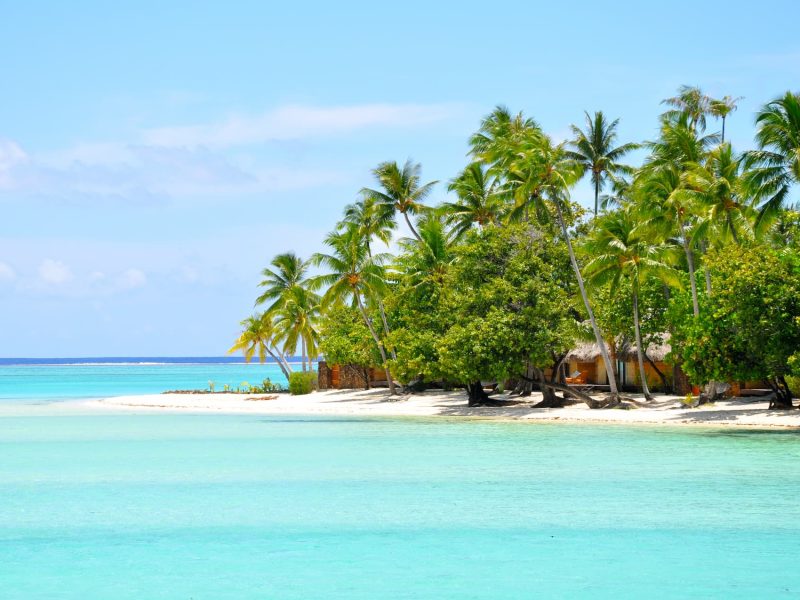 Vue lagon et villa plage avec piscine de l'hôtel Le Taha'a By Pearl Resorts - Combiné 5 îles : Tahiti, Nuku Hiva, Moorea, Taha'a, Bora Bora