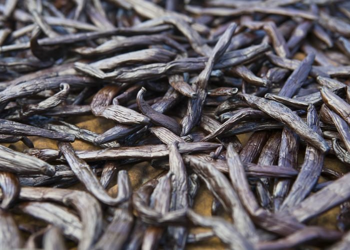 vue gros plan de gousses de vanille en train de sécher