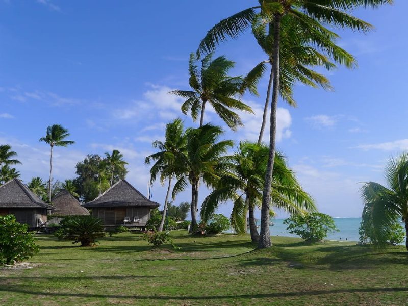 Vue générale de 3 bungalows jardin, palmier, plage et lagon - Hôtel Matira Bora Bora 2**